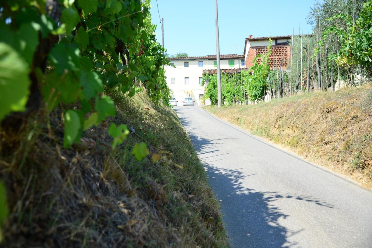 Agriturismo Corte Stefani Capannori Exteriör bild