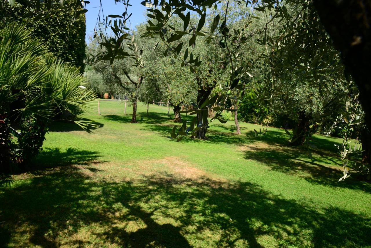 Agriturismo Corte Stefani Capannori Exteriör bild