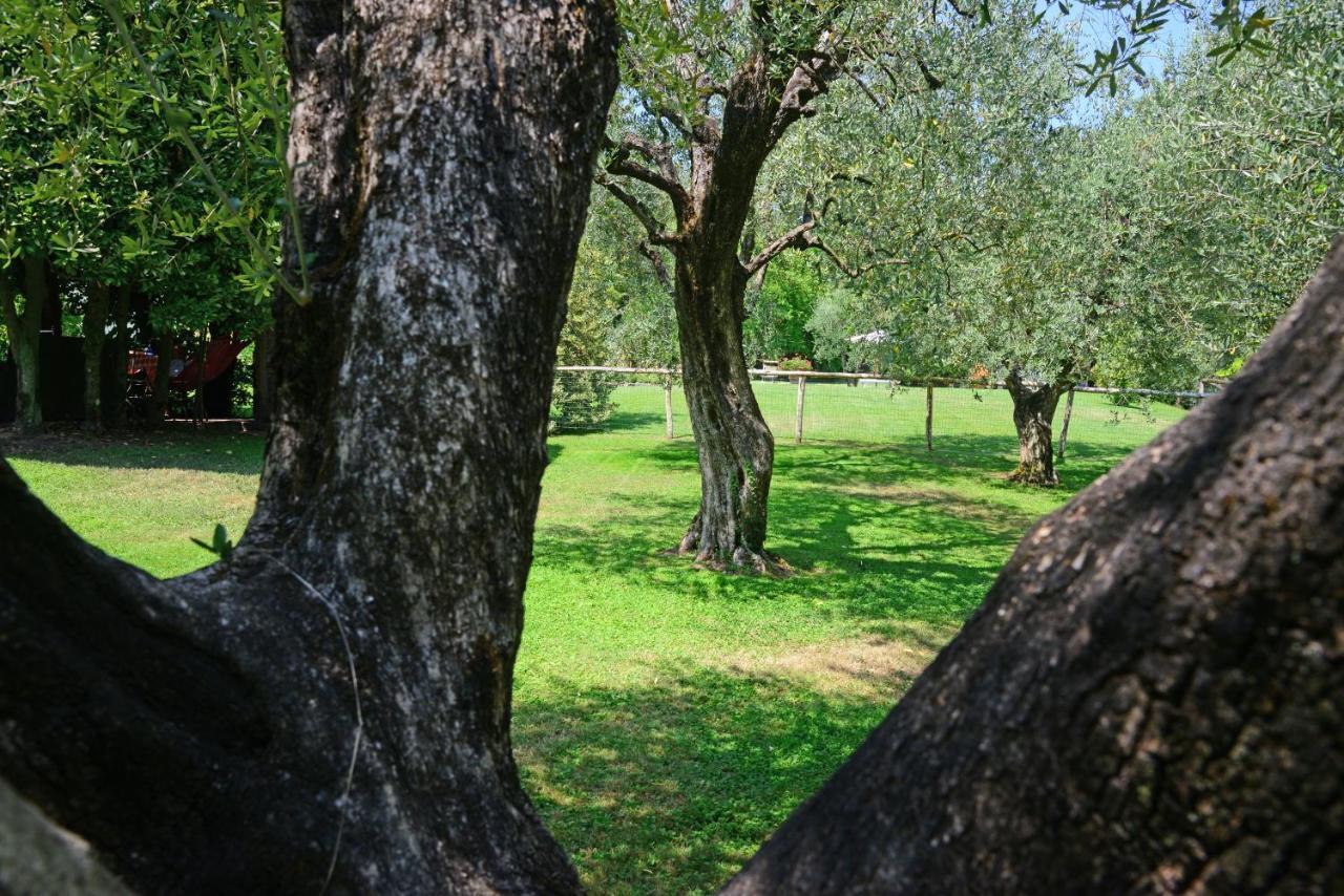 Agriturismo Corte Stefani Capannori Exteriör bild