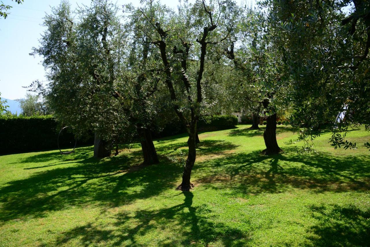 Agriturismo Corte Stefani Capannori Exteriör bild